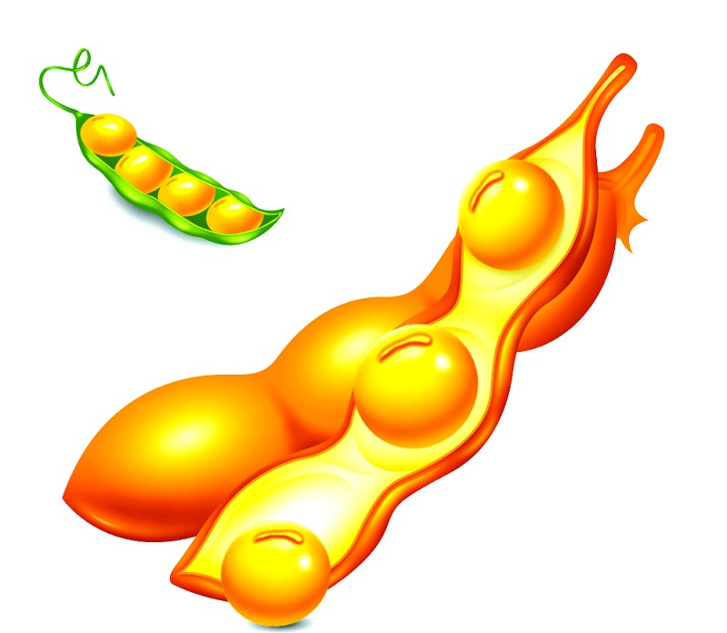 散裝毛油遭淘汰,高品質(zhì)大豆油獲新生(圖1) 成套大豆油精煉設備布置圖