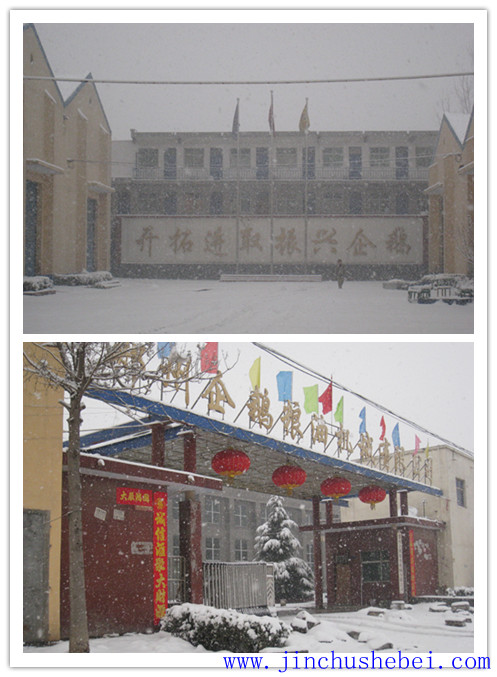 浸出油設(shè)備，預(yù)榨浸出生產(chǎn)線，榨油設(shè)備，精煉設(shè)備